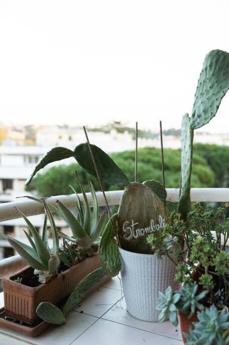 Casa 'Ttaja - Mediterranean Eco-Apartment Ρώμη Εξωτερικό φωτογραφία
